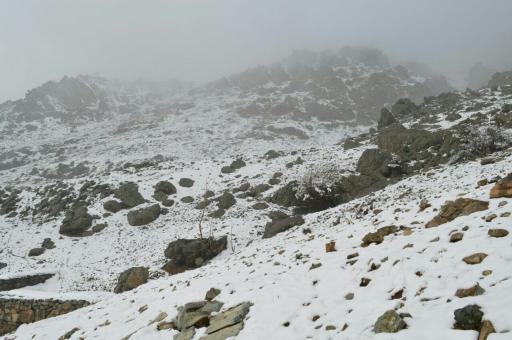 عکس بوستان گلابدره