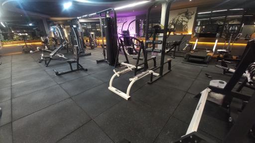 عکس باشگاه چمپیون ۲