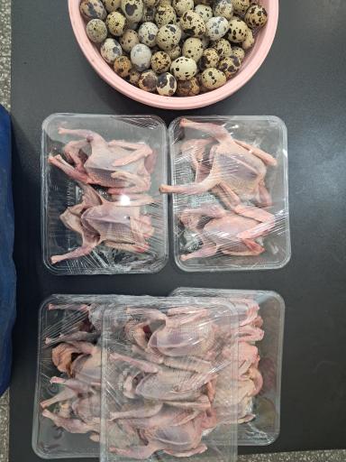 عکس مرغ و ماهی سعید