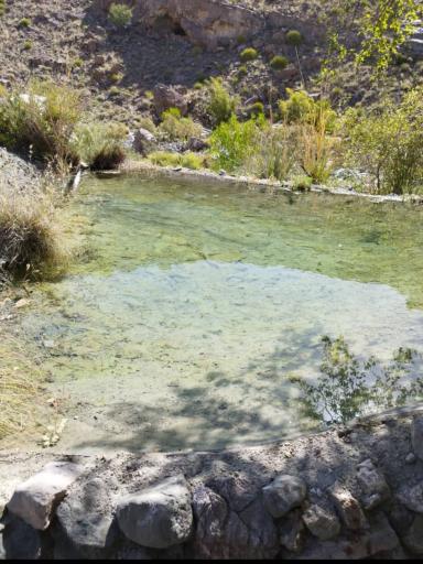 عکس سردشت بشاگرد