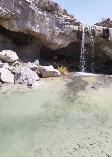 عکس سردشت بشاگرد