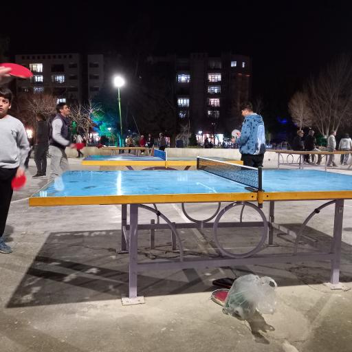 عکس زمین پینگ پنگ