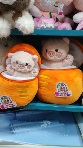 عکس سولی شاپ