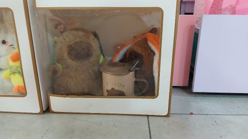 عکس سولی شاپ