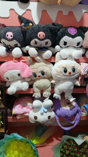 عکس سولی شاپ