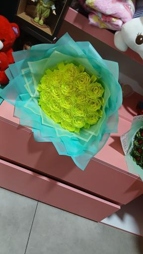 عکس سولی شاپ