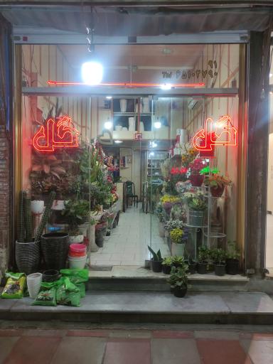 عکس گل فروشی شقایق