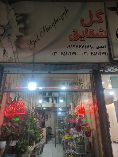 عکس گل فروشی شقایق