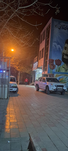 عکس بیمه ایران نمایندگی‌محسن‌خانی