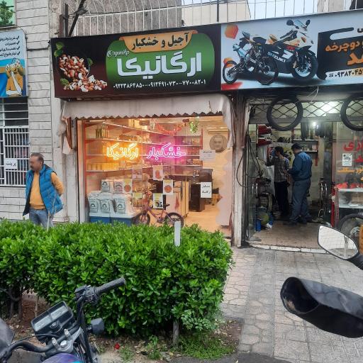 عکس خشکبار ارگانیکا