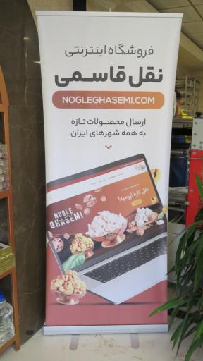 عکس نقل قاسمی