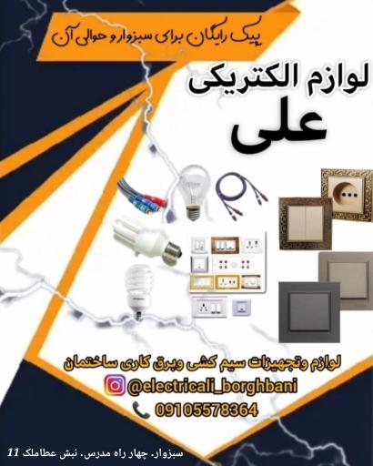 عکس الکتریکی علی 