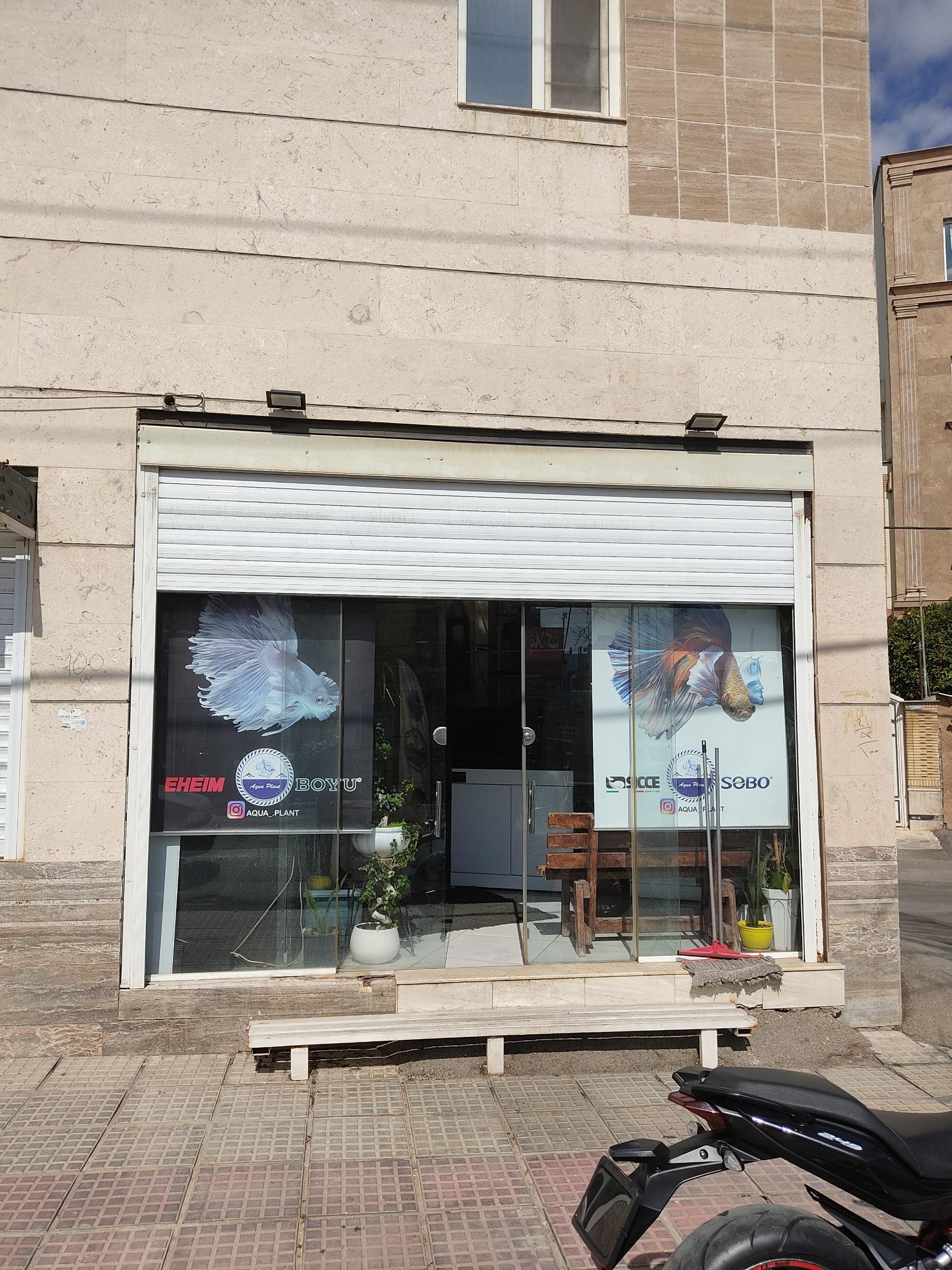 عکس اکواریوم آکوا پلنت 