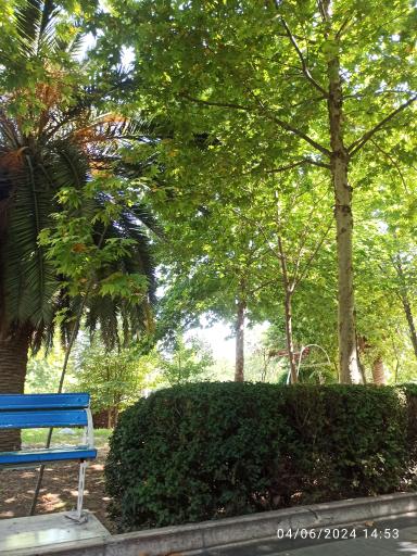 عکس بوستان  زنده یاد دامادی