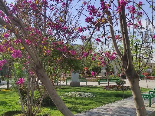 عکس پارک احد زاده