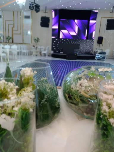 عکس باغ تالار پرنس