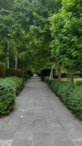 بوستان  زنده یاد دامادی