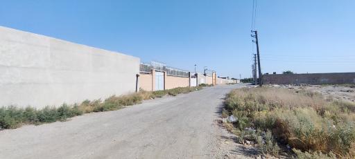 عکس دکتر فولکس