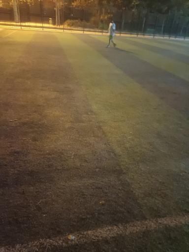 عکس چمن مصنوعی کاووسی