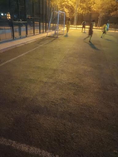 عکس چمن مصنوعی کاووسی