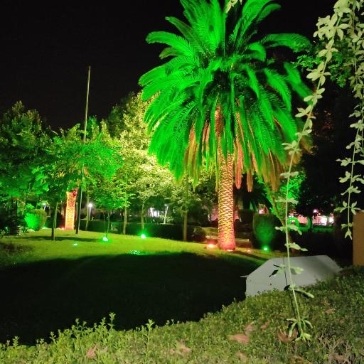 عکس بوستان  زنده یاد دامادی