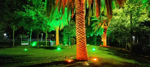 عکس بوستان  زنده یاد دامادی