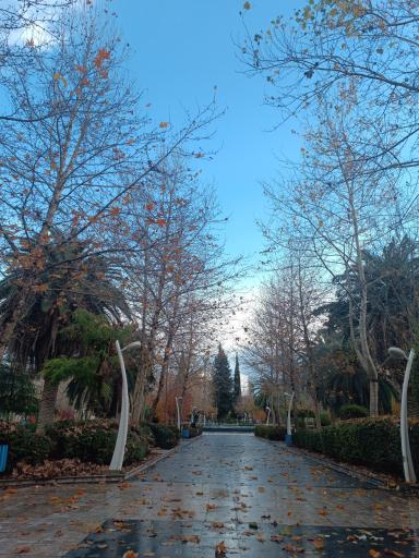 عکس بوستان  زنده یاد دامادی