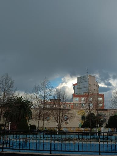 بوستان  زنده یاد دامادی