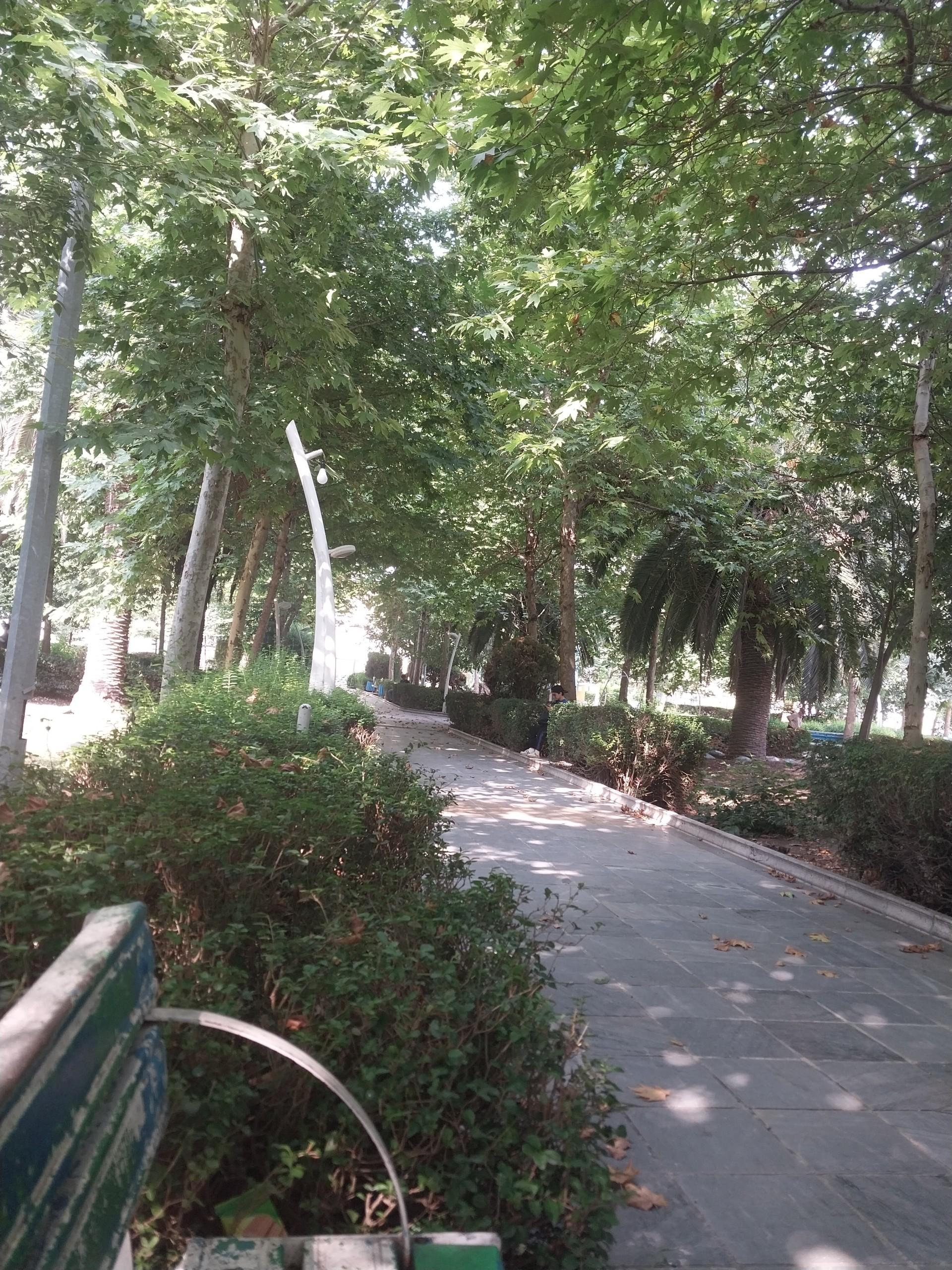 عکس بوستان  زنده یاد دامادی