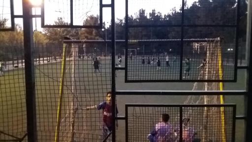 عکس چمن مصنوعی کاووسی