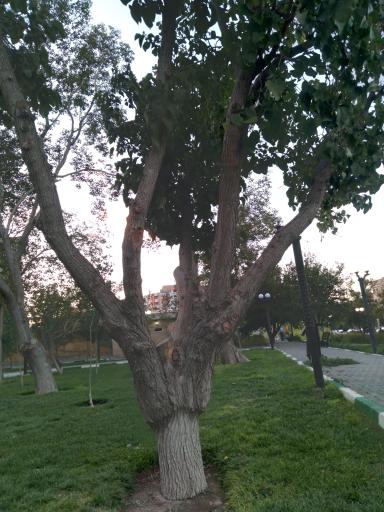 عکس پارک قازان