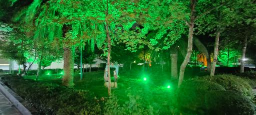 عکس بوستان  زنده یاد دامادی