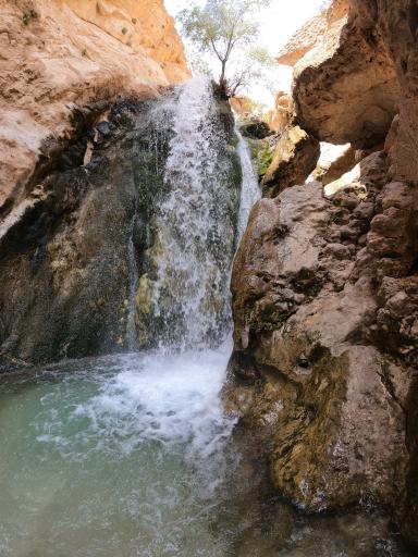 عکس راهنمای گردشگری کاسه رود (اکواریوم)