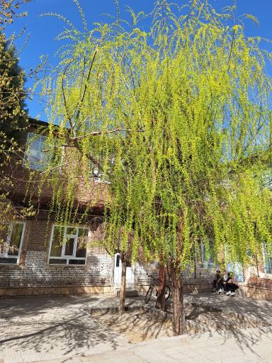 عکس مسجد تاریخی مهرآباد بناب