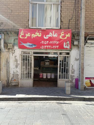 عکس مرغ فروشی 