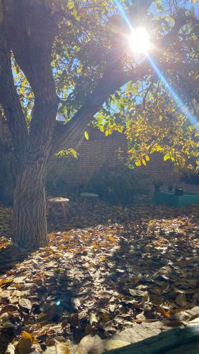 عکس کافه رستوران خانه افشار تکاب