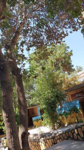 عکس کافه باران