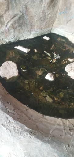 عکس چشمه شیردوش