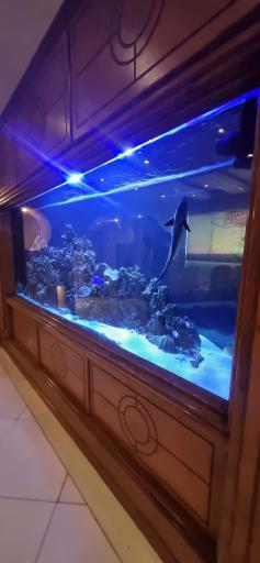 هتل فردوس مشهد