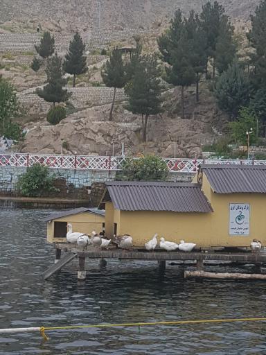 عکس سراب روانسر