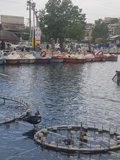 عکس سراب روانسر