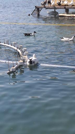 عکس سراب روانسر