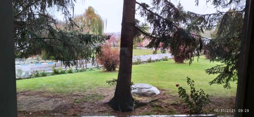 عکس شرکت داروسازی شهید قاضی