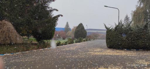 عکس شرکت داروسازی شهید قاضی