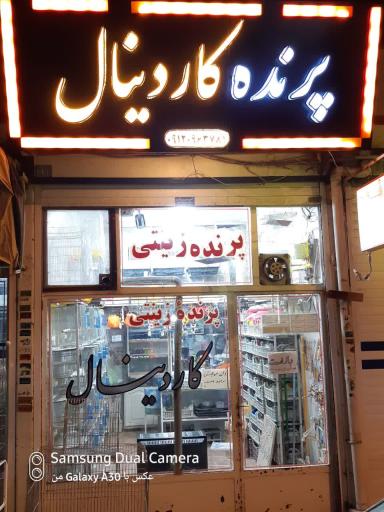 عکس پرنده کاردینال