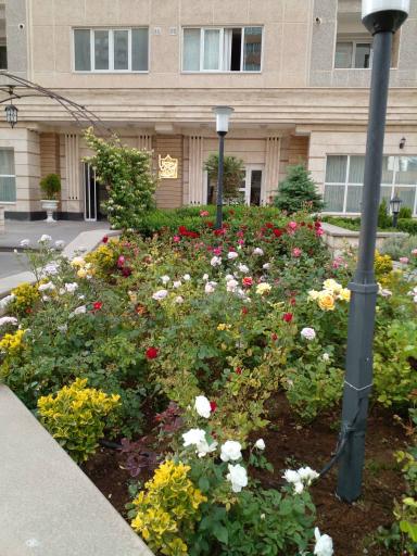 عکس برج سبا