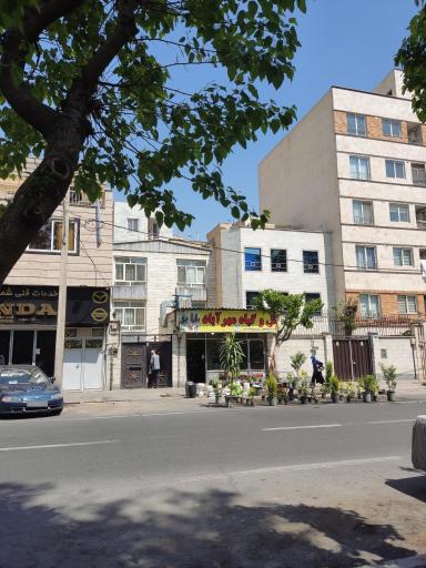 عکس گل و گیاه مهرآباد