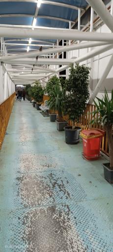 عکس تقاطع غیرهمسطح جانبازان