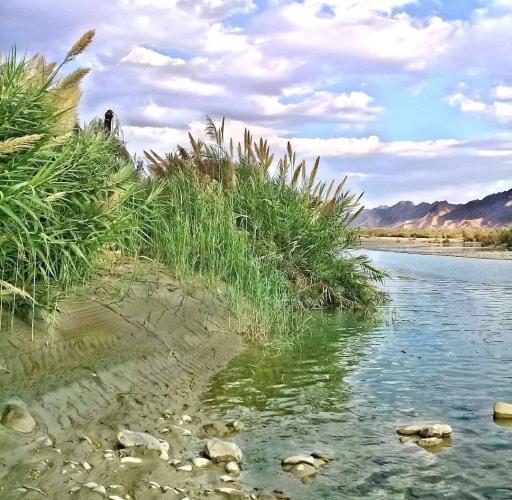 عکس نیک شهر