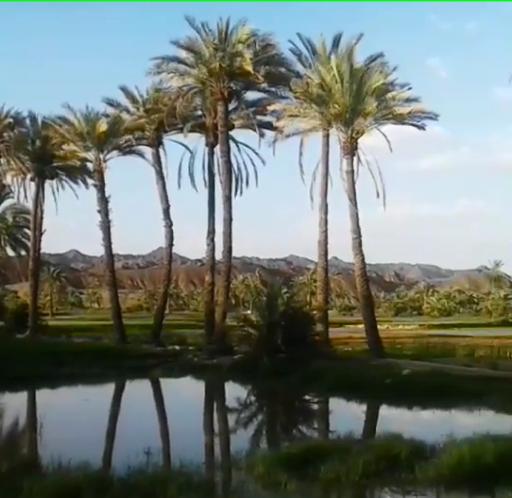 عکس نیک شهر